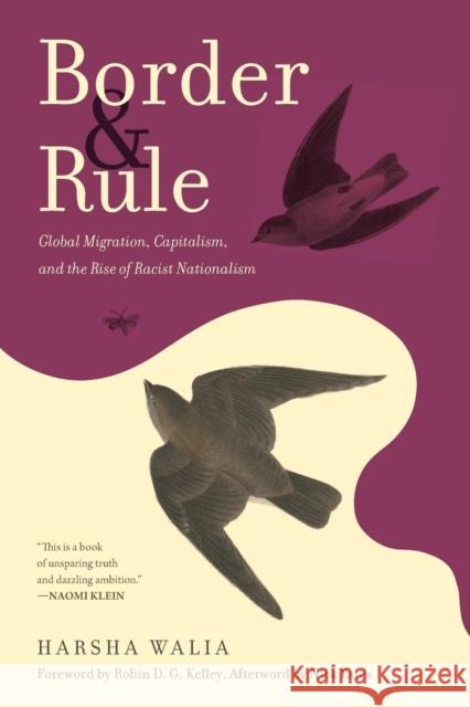 Border and Rule: Global Migration, Capitalism, and the Rise of Racist Nationalism  9781642592696 Haymarket Books