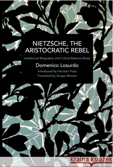 Nietzsche, the Aristocratic Rebel: Intellectual Biography and Critical Balance-Sheet  9781642593402 Haymarket Books