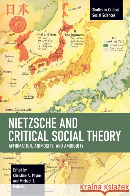 Nietzsche and Critical Social Theory: Affirmation, Animosity, and Ambiguity  9781642593631 Haymarket Books