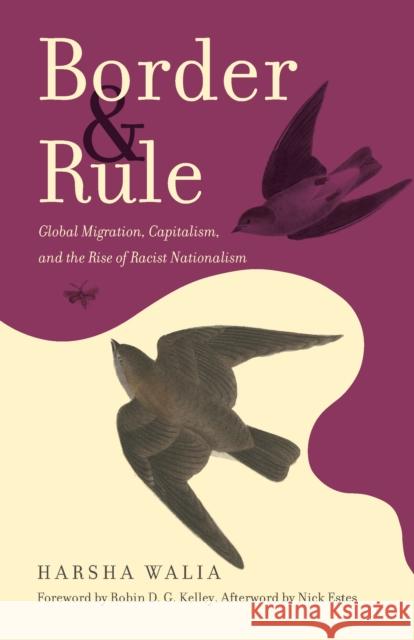Border and Rule: Global Migration, Capitalism, and the Rise of Racist Nationalism Harsha Walia Robin D. G. Kelley Nick Estes 9781642594065 Haymarket Books