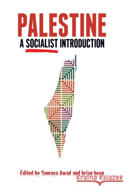 Palestine: A Socialist Introduction Sumaya Awad Brian Bean  9781642594126 Haymarket Books
