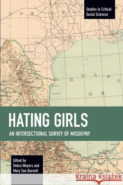 Hating Girls: An Intersectional Survey of Misogyny Debra Meyers Mary Su 9781642597745