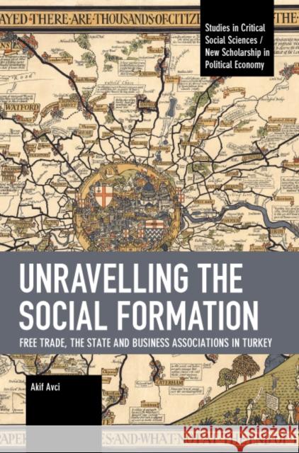 Unravelling the Social Formation: Free Trade, the State and Business Associations in Turkey Avci, Akif 9781642598193 Haymarket Books