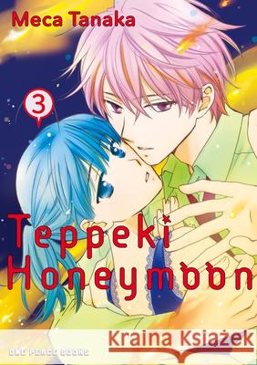 Teppeki Honeymoon Volume 3 Meca Tanaka 9781642735802 One Peace Books