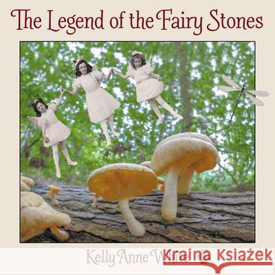 The Legend of the Fairy Stones Kelly Anne White 9781642791969 Morgan James Kids