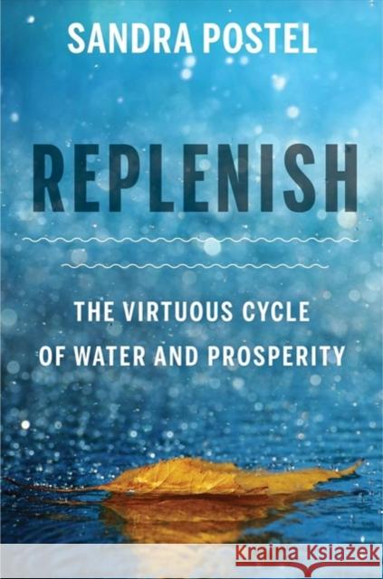 Replenish: The Virtuous Cycle of Water and Prosperity Sandra Postel 9781642830101 Island Press