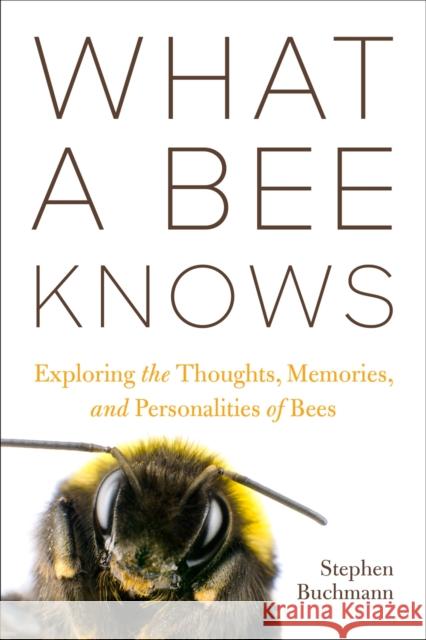 What a Bee Knows: Exploring the Thoughts, Memories, and Personalities of Bees Stephen L. Buchmann 9781642831245