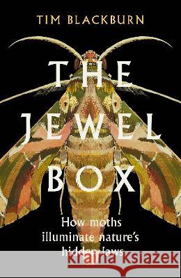 The Jewel Box: How Moths Illuminate Nature\'s Hidden Rules Tim Blackburn 9781642832730 Island Press