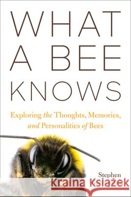 What a Bee Knows: Exploring the Thoughts, Memories, and Personalities of Bees Stephen L. Buchmann 9781642833911 Island Press