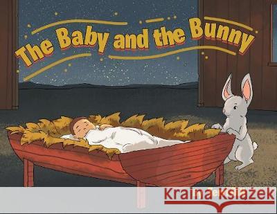 The Baby and the Bunny Terri Dill 9781642983784 Page Publishing, Inc.