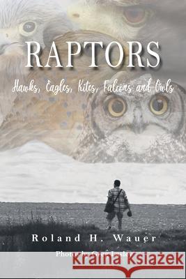 Raptors: Hawks, Eagles, Kites Falcons and Owls Roland H. Wauer 9781643145204 Authors Press