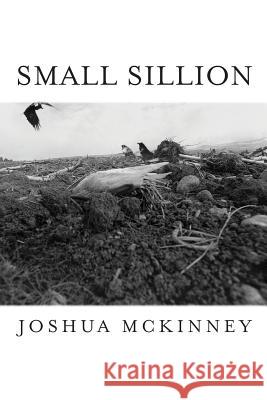 Small Sillion Joshua McKinney 9781643170466 Parlor Press