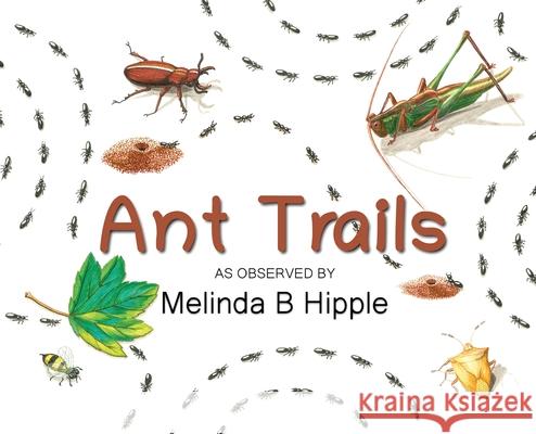 Ant Trails Melinda B. Hipple 9781643180502 Imperium Publishing