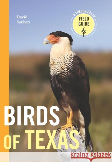 Birds of Texas: A Timber Press Field Guide David Sarkozi 9781643261997 Timber Press (OR)