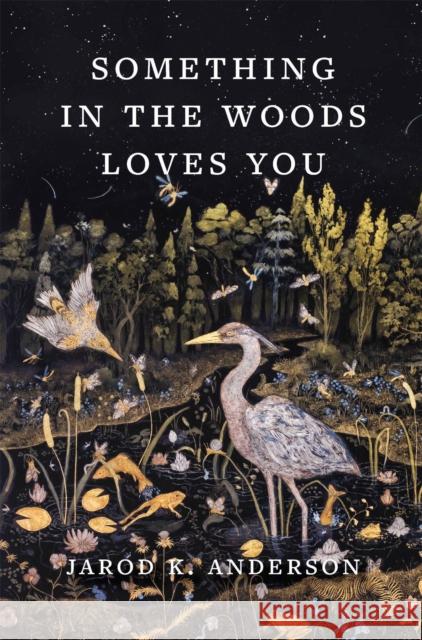 Something in the Woods Loves You Jarod K. Anderson 9781643262291 Workman Publishing