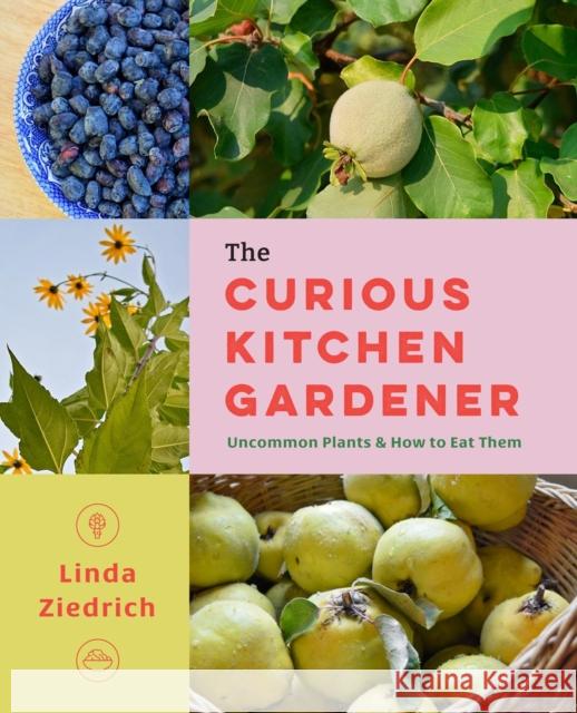 The Curious Kitchen Gardener: Uncommon Plants and How to Eat Them Linda Ziedrich 9781643262314 Timber Press (OR)