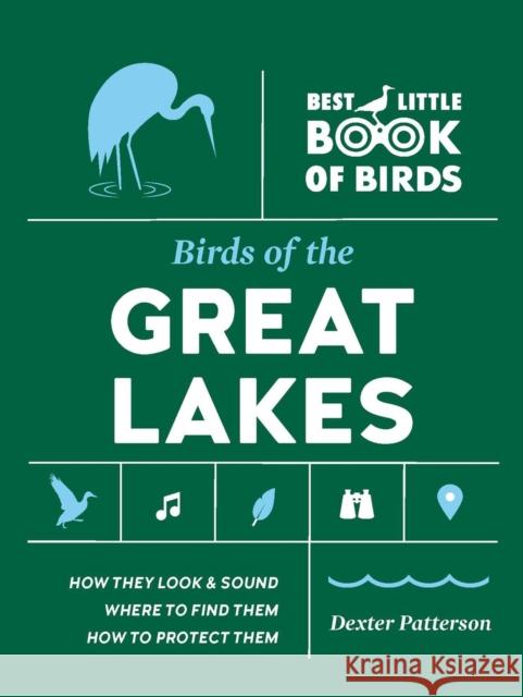 Birds of the Great Lakes Dexter Patterson 9781643263816 Timber Press (OR)