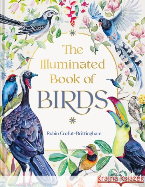 The Illuminated Book of Birds Robin Crofut-Brittingham 9781643265049 Timber Press (OR)
