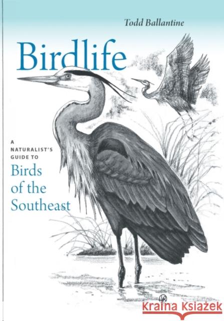 Birdlife: A Naturalist's Guide to Birds of the Southeast Ballantine, Todd 9781643363325 University of South Carolina Press