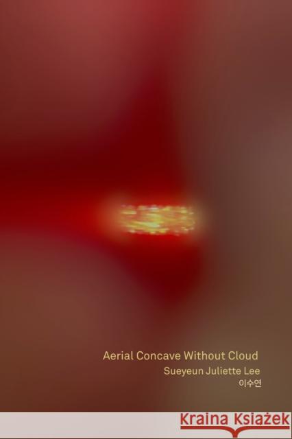 Aerial Concave Without Cloud  9781643621166 Nightboat Books