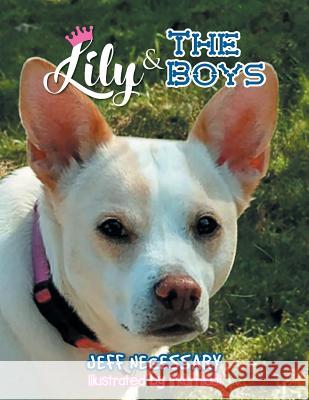 Lily and The Boys Necessary, Jeff 9781643670560