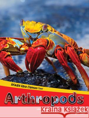 Animals Have Classes Too! Arthropods Cocca, Lisa 9781643690636 Rourke Educational Media