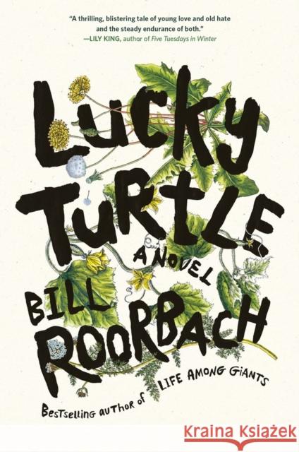 Lucky Turtle Bill Roorbach 9781643750972 Algonquin Books
