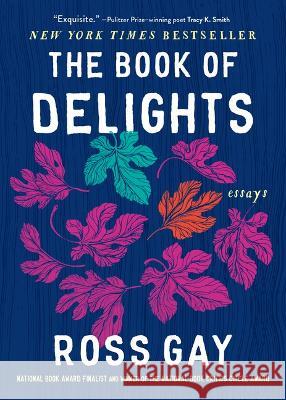 The Book of Delights Gay, Ross 9781643753287 Algonquin Books