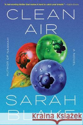 Clean Air Sarah Blake 9781643753416 Algonquin Books
