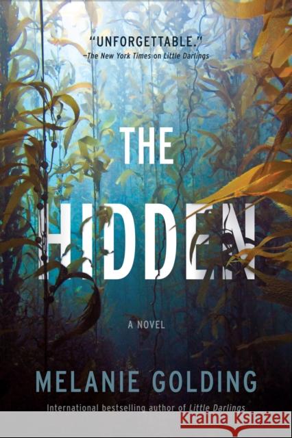 The Hidden: A Novel Melanie Golding 9781643852973