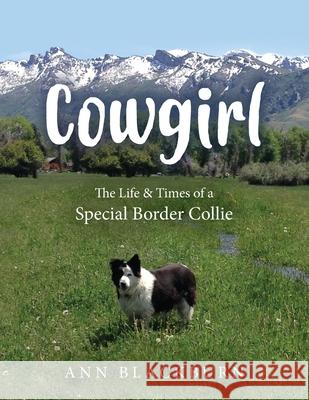 Cowgirl: The Life & Times of a Special Border Collie Ann Blackburn 9781643882666 Ann B Blackstock