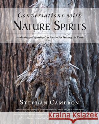 Conversations with Nature Spirits: Awakening and Igniting Our Passion for Healing the Earth Stephan Cameron 9781643884738 Luminare Press