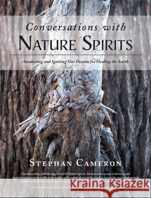 Conversations with Nature Spirits: Awakening and Igniting Our Passion for Healing the Earth Stephan Cameron 9781643884745 Luminare Press