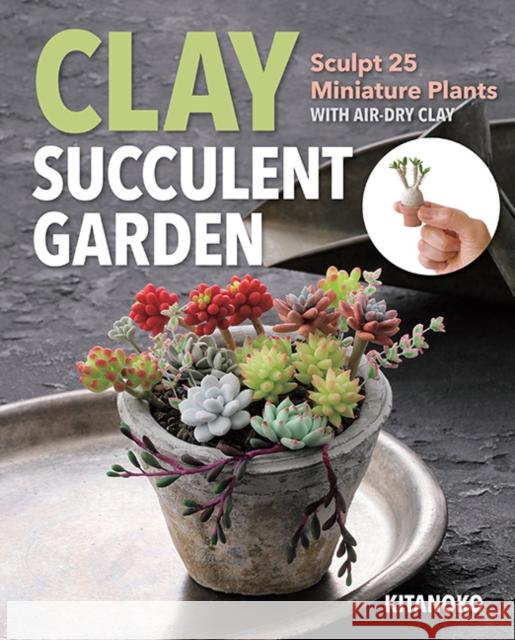 Clay Succulent Garden: Sculpt 25 Miniature Plants with Air-Dry Clay Kitanoko 9781644032299 C&T Publishing