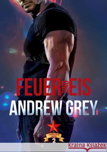 Feuer Und Eis: Volume 2 Grey, Andrew 9781644051245 Dreamspinner Press