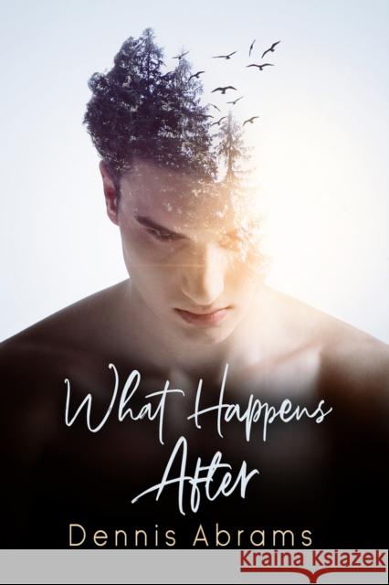 What Happens After Dennis Abrams 9781644055700 Dreamspinner Press LLC