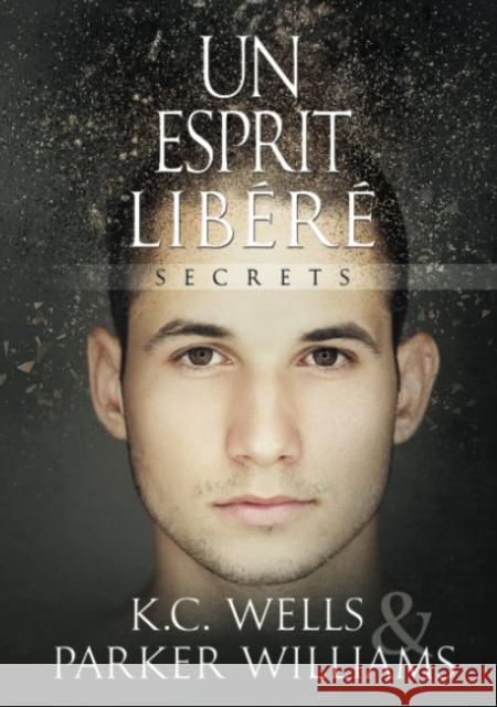 Un Esprit Libéré: Volume 1 Wells, K. C. 9781644056363 Dreamspinner Press