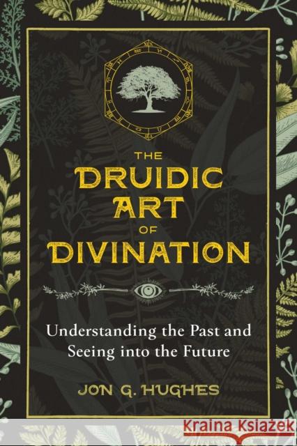 The Druidic Art of Divination: Understanding the Past and Seeing into the Future Jon G. Hughes 9781644110249 Inner Traditions Bear and Company