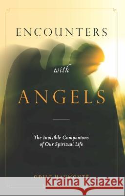 Encounters with Angels: The Invisible Companions of Our Spiritual Life Haumonte, Odile 9781644134719 Sophia