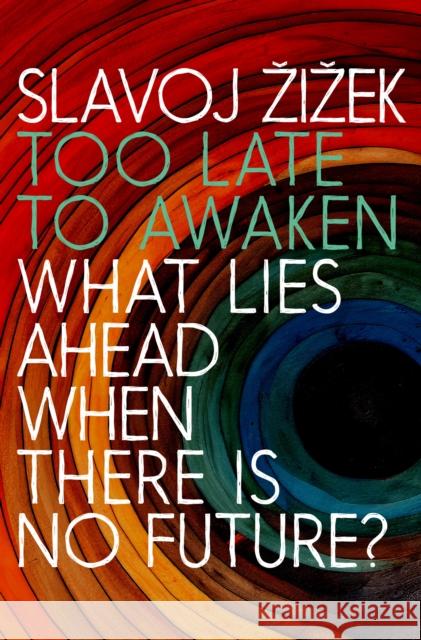 Too Late to Awaken: What Lies Ahead When There is No Future Slavoj Zizek 9781644214190 Seven Stories Press,U.S.