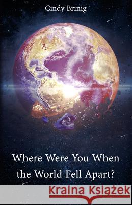 Where Were You When the World Fell Apart? Cindy Brinig 9781644260838 Dorrance Publishing Co.