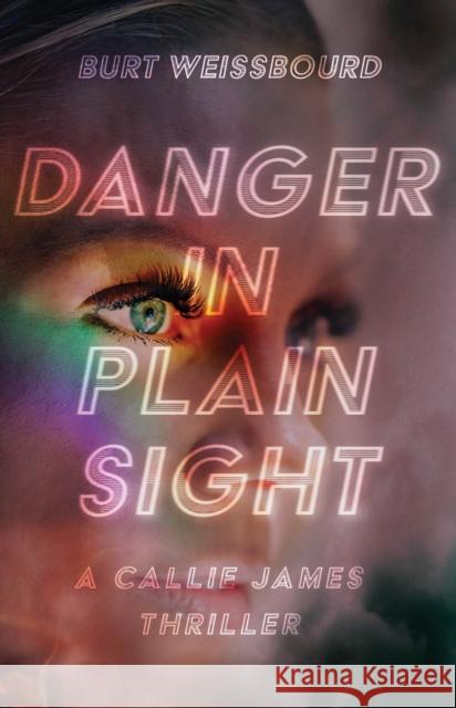 Danger in Plain Sight Burt Weissbourd 9781644282984