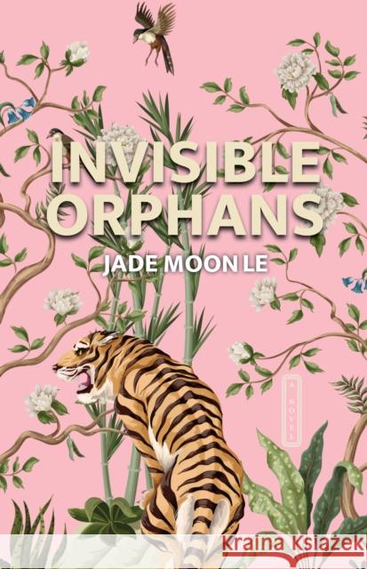 Invisible Orphans Jade Moon Le 9781644283141