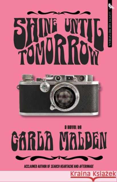 Shine Until Tomorrow Carla Malden 9781644283615 Rare Bird Books