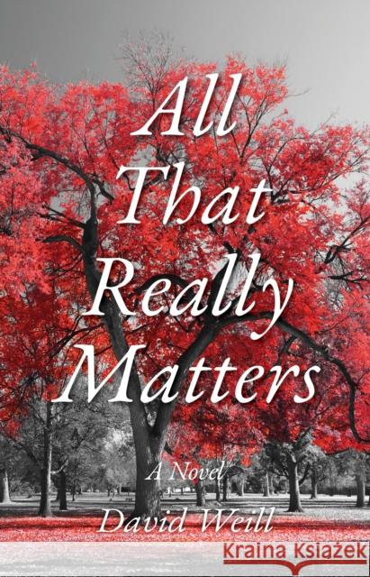 All That Really Matters David Weill 9781644284353 Rare Bird Books