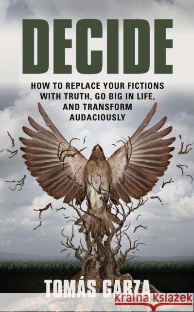 Decide: How to Replace Your Fictions with Truth, Go Big in Life, and Transform Audaciously Tomás Garza 9781644388969