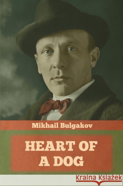 Heart of a Dog Mikhail Bulgakov 9781644394694 Indoeuropeanpublishing.com
