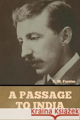 A Passage to India E M Forster 9781644394816 Indoeuropeanpublishing.com