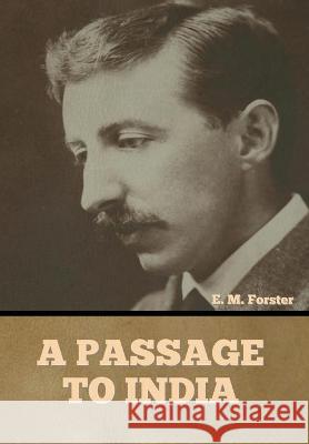 A Passage to India E M Forster 9781644394823 Indoeuropeanpublishing.com