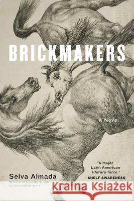 Brickmakers Selva Almada 9781644450697 Graywolf Press